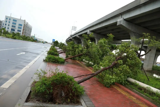 1605594633379255.png image.png