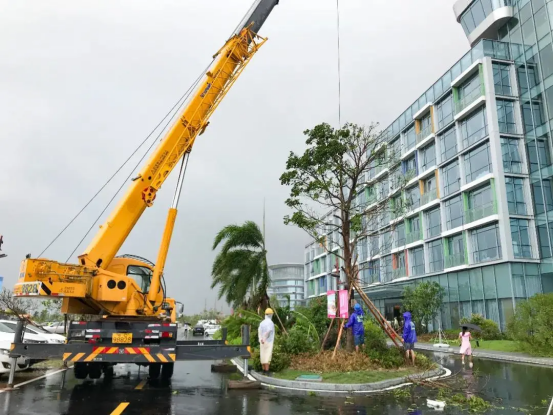 1605594983869308.png image.png