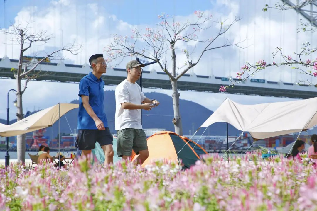 1665390533595146.png image.png