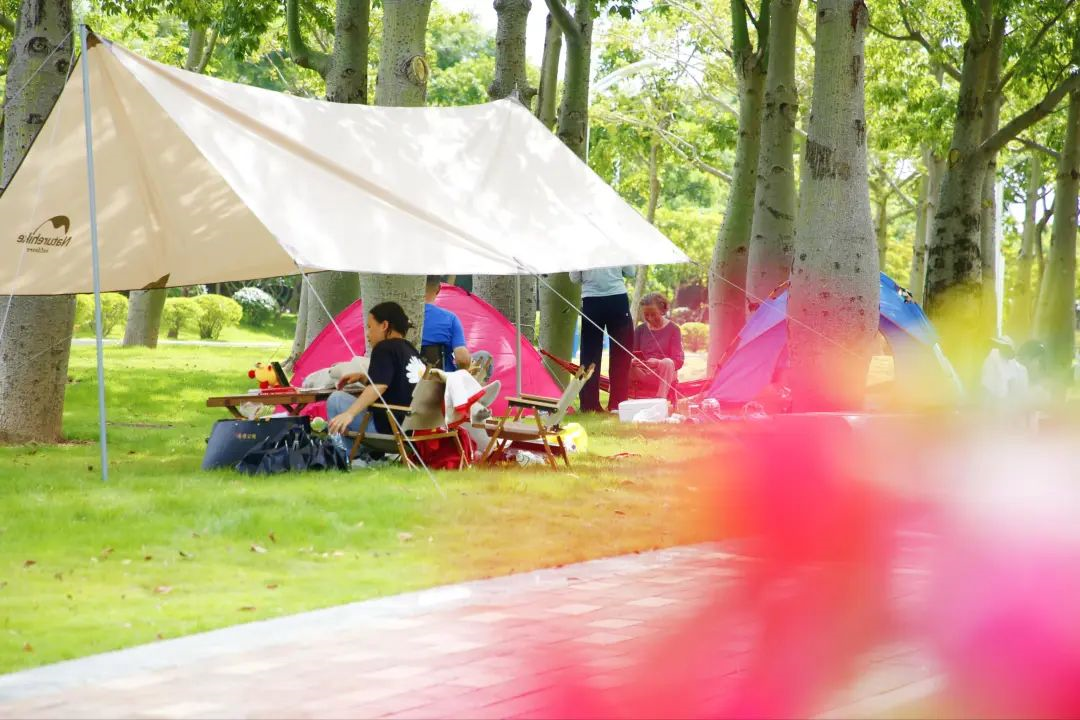 1665390782552314.png image.png