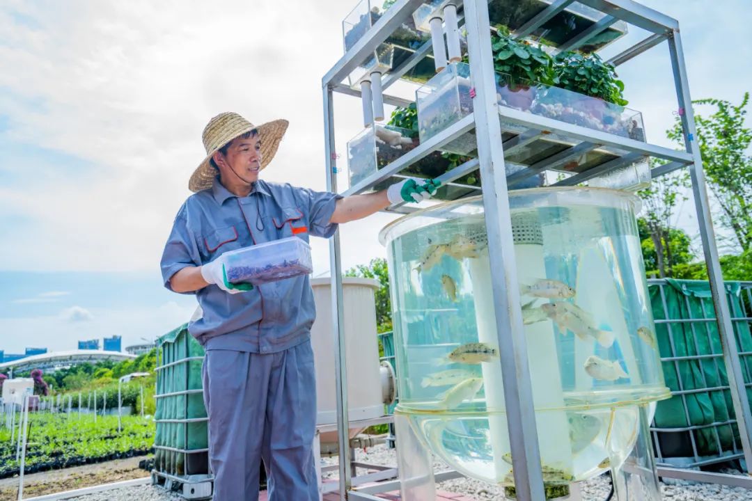 1687233061404919.jpg 10.jpg