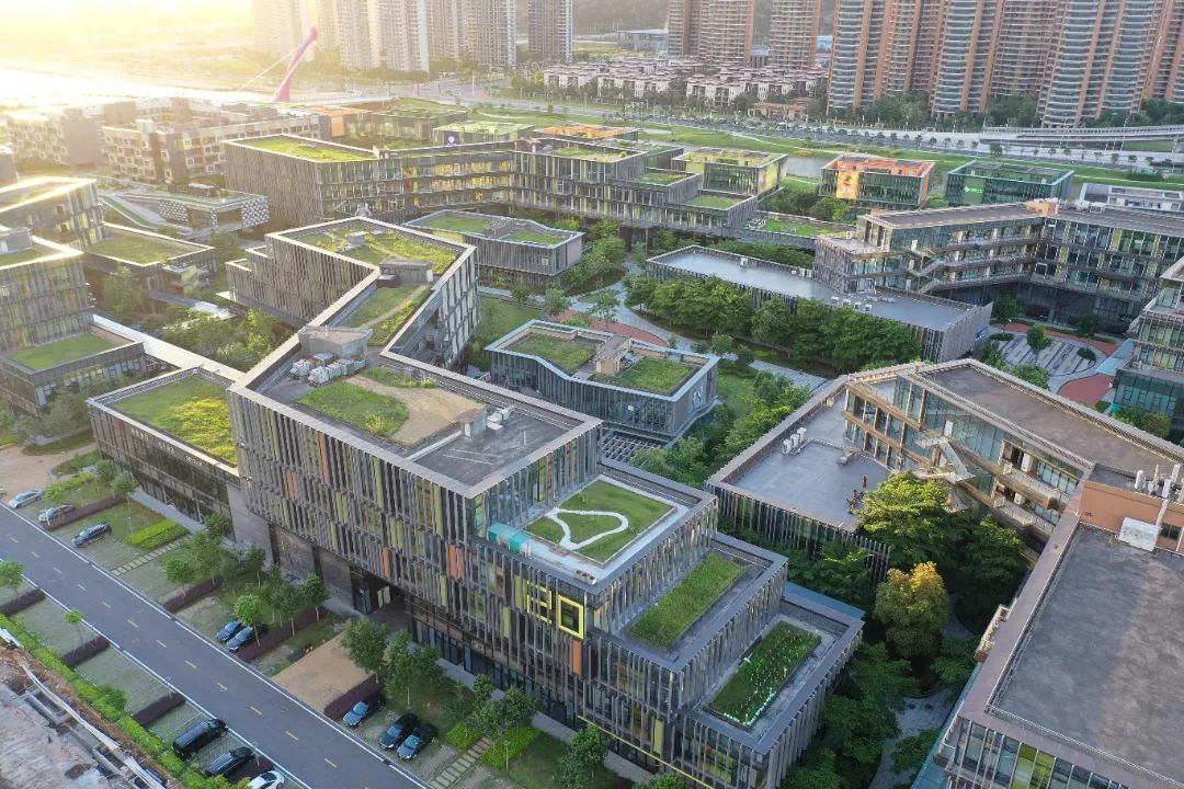 1695201447728359.jpg 5.jpg