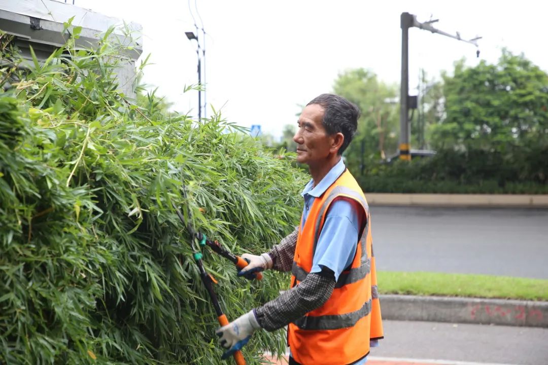 1695260697343406.jpg 14.jpg