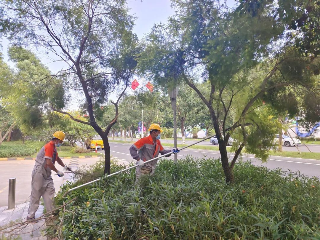 1695368067217335.jpg 8.jpg