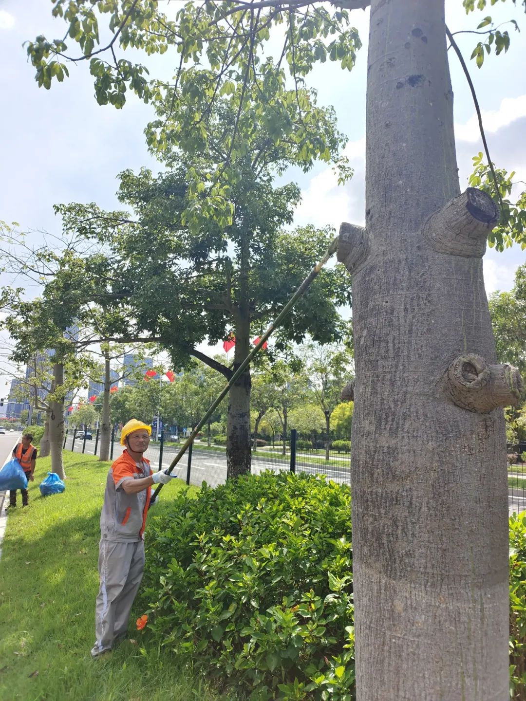 1695368228979259.jpg 17.jpg