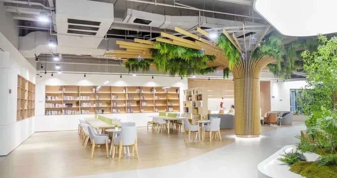 1700449179578480.jpg 12.jpg