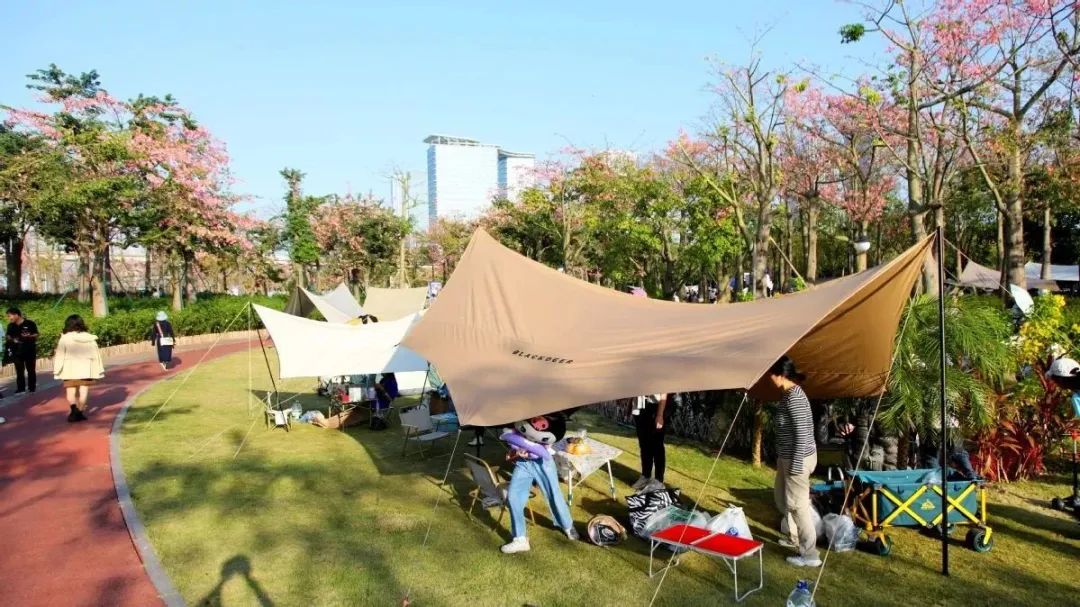 1702865621484404.jpg 2.jpg