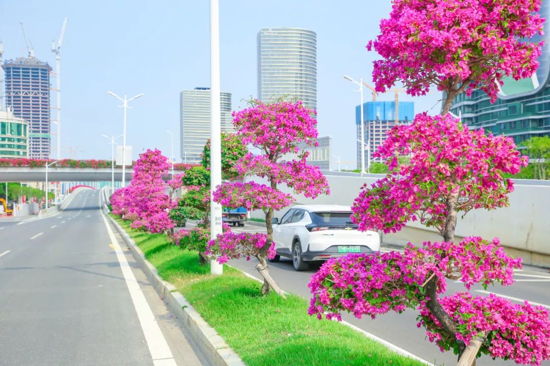 1706064053722148.jpg 6.jpg