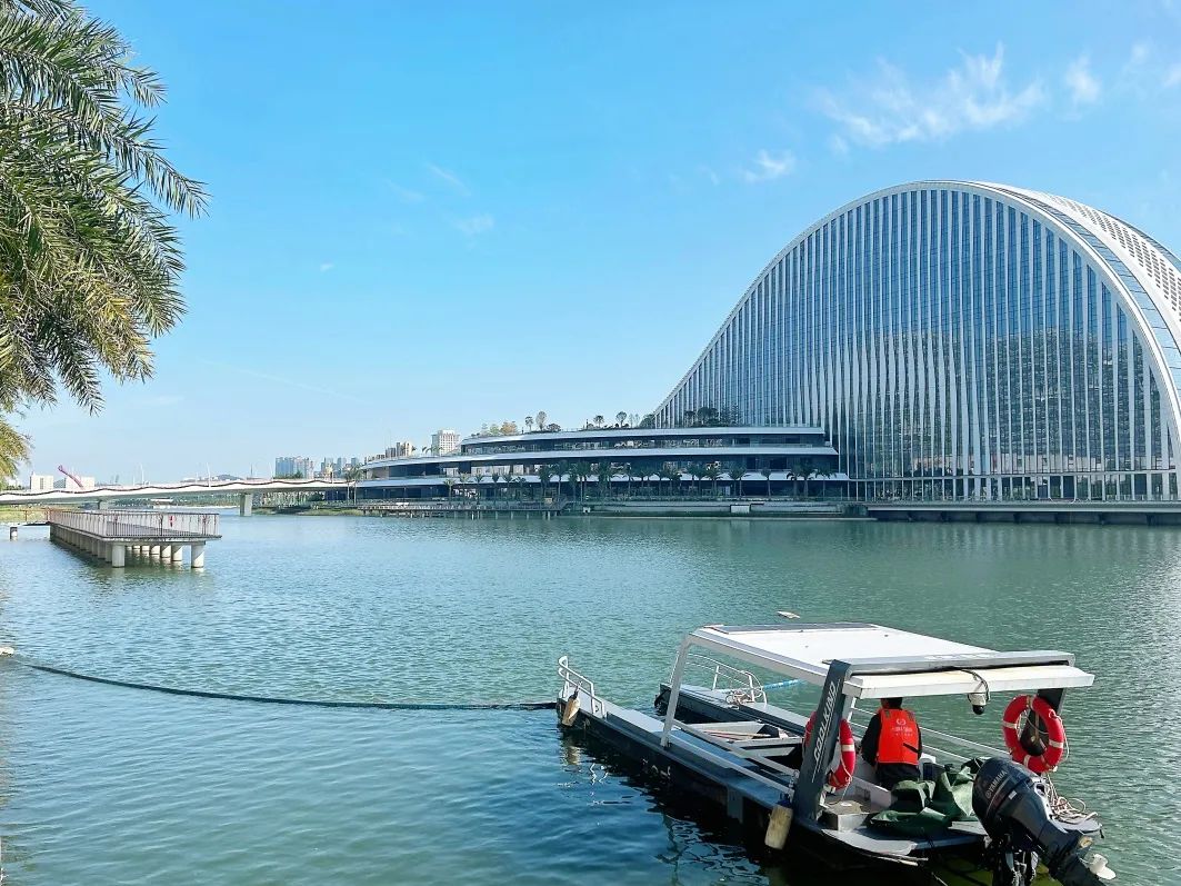 1733475369267755.jpg 2.jpg